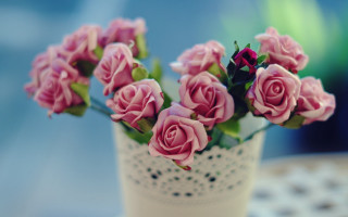 Vase pink roses table wallpaper - pink rose free wallpaper