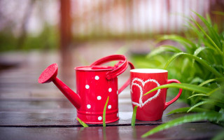 Red watering can heart wooden - a wooden table free wallpaper