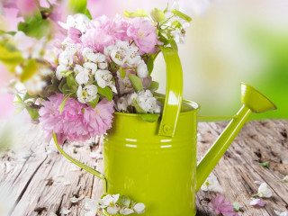 Watering can flowers table wooden - celia fiennes free wallpaper