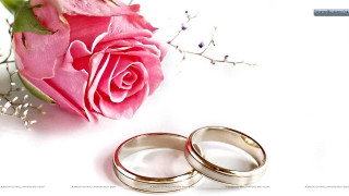 Wedding rings rose white background - florianne becker free wallpaper