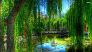 Pond bridge trees building sky - cao buxing free wallpaper for desktop
