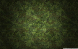 Green camouflage wallpaper leaves pattern - a pattern of leaves free wallpaper
