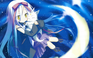 Girl cat night sky stars - a night sky free wallpaper for desktop