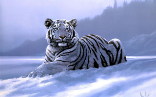 White tiger snow mountain foggy - photoreal free wallpaper