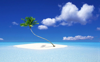 Deserted island palm tree ocean 2 - carl critchlow free wallpaper for desktop