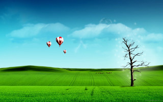 Tree field hotairballoons loneforeground magicrealism 3 - hot free wallpaper