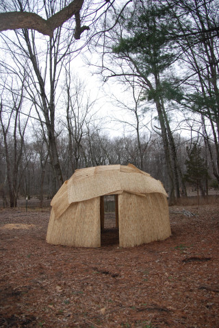 Hay structure forest trees branches - free forest wallpaper