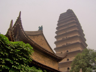 Tall clock tower building tree - a tree in front free wallpaper