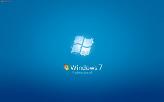 Blue desktop wallpaper windows7 logo - a white cat free wallpaper