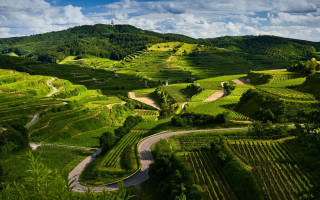 Scenic green valley winding road - a scenic view free wallpaper