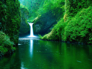 Waterfall green forest stream nature 10 - a green forest free wallpaper