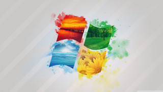 Sunflower watercolor colorful background image - a picture of a bunch free wallpaper