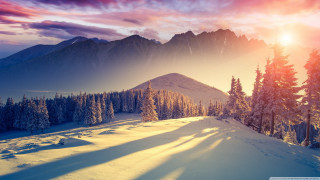 Snowy mountain trees sunset pink 2 - tree and a sun free wallpaper for desktop