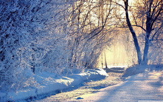 Snowy path trees bench sunlight - sun free wallpaper