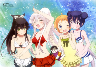 Anime girls bathing suits posing - her shoulder and a cat free wallpaper