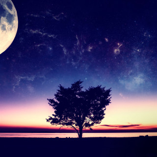 Tree silhouette purple blue sky - sky free wallpaper for tablet