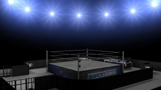 Boxing ring 3d rendering referee - dynamic lighting free wallpaper