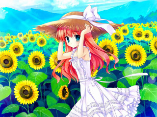 Girl sunflower field hat dress - her head and a dress free wallpaper