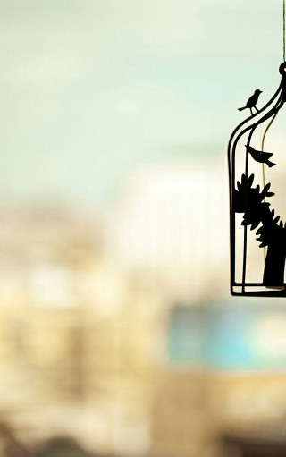 Bird birdcage wire city daytime - free bird wallpaper for mobile