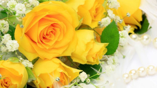 Yellow roses white flowers bouquet - a bouquet free wallpaper