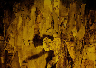 Bear graffiti wall person walking - dave mckean free wallpaper