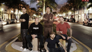 Men bench night street palm - anthony palumbo free wallpaper