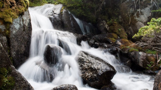 Waterfall forest rocks trees water - a waterfall in a forest free wallpaper for desktop