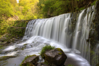Waterfall large rock forest background - a forest in the background free wallpaper