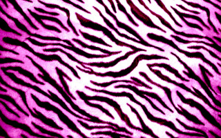 Zebra print pink background black - op art free wallpaper for desktop