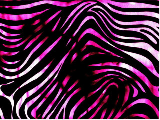 Zebra print pink background black 3 - a pink center free wallpaper