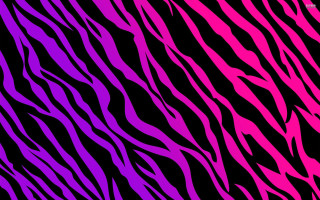 Zebra print black background pink - free abstract wallpaper for desktop