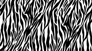 Zebra print black white stripes - bridget riley free wallpaper for desktop