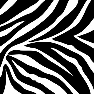 Zebra print pattern black white 3 - free abstract wallpaper for tablet