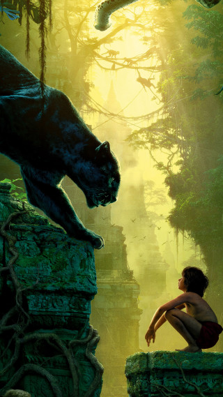 Boy ledge black cat jungle - a ledge free wallpaper for mobile
