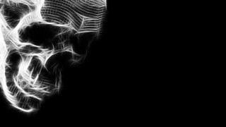 Black white skull long tail - biomechanical free wallpaper for desktop