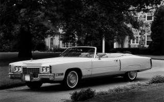 White car parked road tree - don eddy free wallpaper