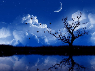 Tree lake crescent moon birds - dreamlike free wallpaper for desktop