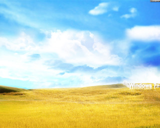 Field blue sky clouds yellow - bascove free wallpaper for desktop
