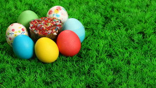 Eggs green field grass sprinkles 2 - sprinkle free wallpaper