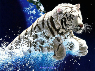 White tiger water blue background 2 - hyper real free wallpaper