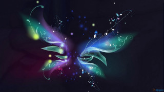 Colorful butterfly black blue white - butterfly free wallpaper