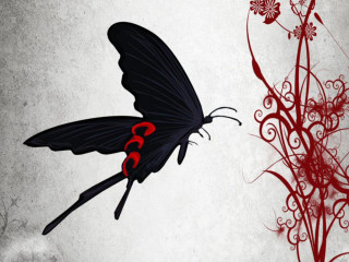 Black butterfly red accents red - red accent free wallpaper