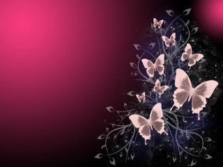 Butterflies purple background pink light - plain background free wallpaper