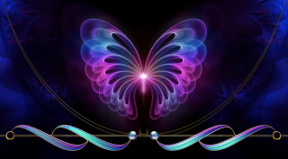 Butterfly purple blue wings black 3 - swirl free wallpaper