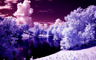 Lake trees clouds purple hued - sky above free wallpaper
