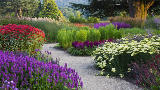 Garden gravel path colorful flowers - blunt border free wallpaper for desktop
