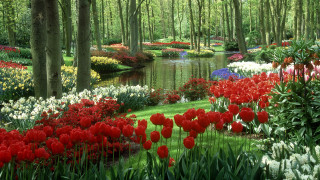 Garden pond flowers trees grass - dirck van der lisse free wallpaper