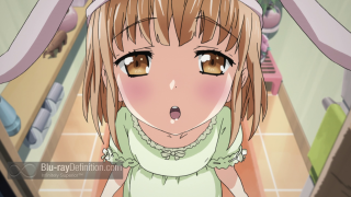 Girl green dress rabbit ears - brown eye free wallpaper