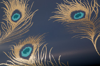 Peacock pattern closeup blue eye - a blue eye free wallpaper