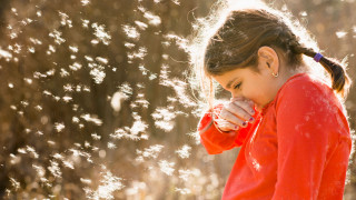 Young girl blowing dandelion field - a young girl free wallpaper